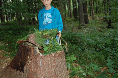 Obrázek v galerii